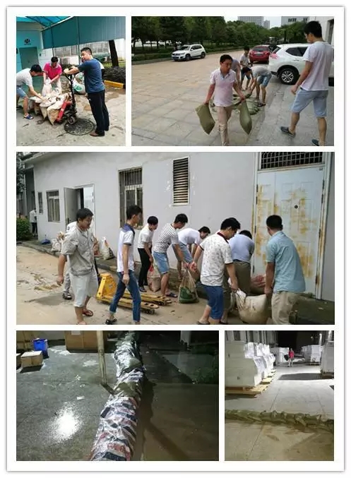 （图为暴雨来临前夕，华工激光进行防汛准备工作）